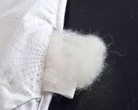 انواع الیاف بالش