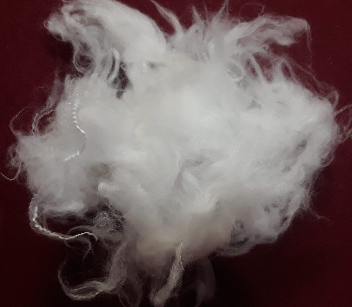 خرید الیاف میکروژل