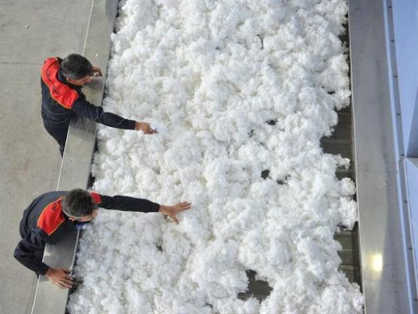 معرفی الیاف پلی استر هالو بدون سیلیکون